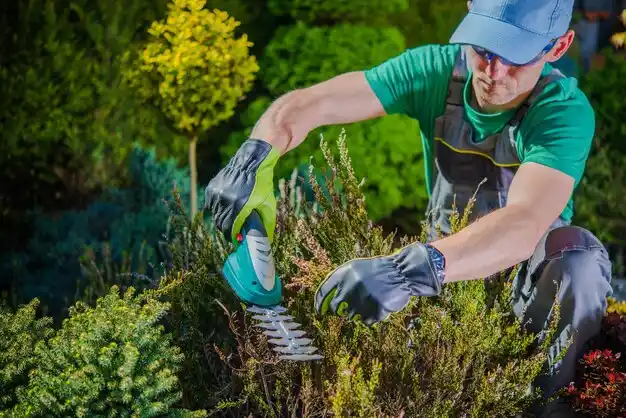 landscaping services Lake Providence